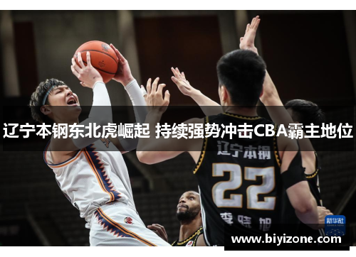 辽宁本钢东北虎崛起 持续强势冲击CBA霸主地位